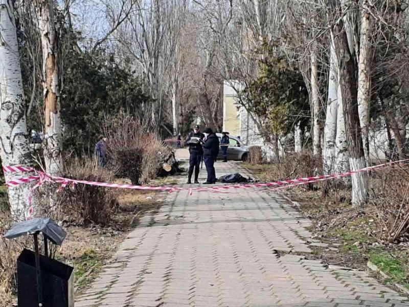 Рухнувшее дерево убило человека в Керчи