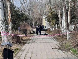 Рухнувшее дерево убило человека в Керчи