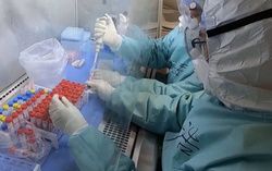 Куда направят пациентов с коронавирусом из Керчи